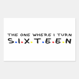 The One Where I Turn to Sixteen 16 Years Old 16th Rectangular Sticker