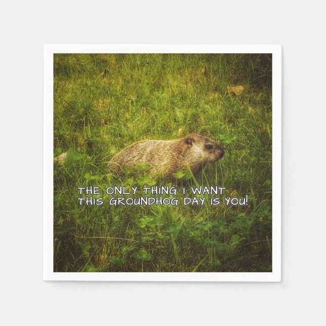 The only thing I want this Groundhog Day napkins (Front)