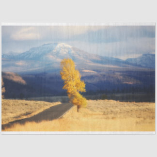 The Open Road Tissue Paper