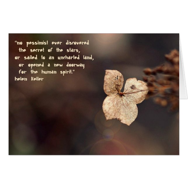 The Optimist (Front Horizontal)