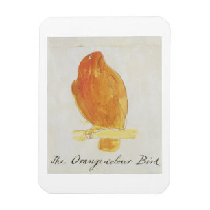 The Orange Colour Bird, from 'Sixteen Drawings of Magnet