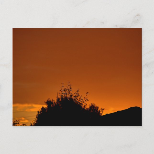 The orange sky postcard (Front)