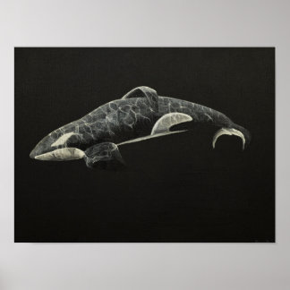 The Orca Poster