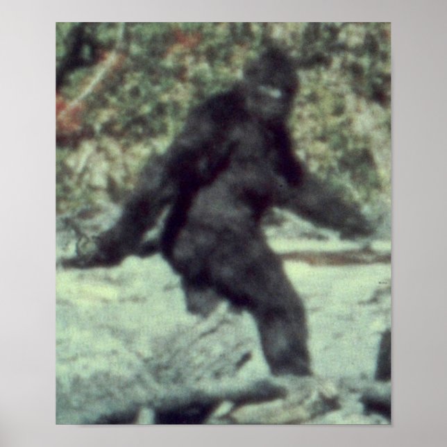THE ORIGINAL 1967 BIGFOOT SASQUATCH PHOTO POSTER (Front)
