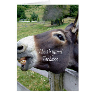 The Original Jackass Funny Donkey Mule Farm Animal