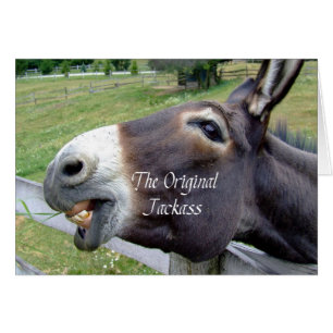 The Original Jackass Funny Donkey Mule Farm Animal