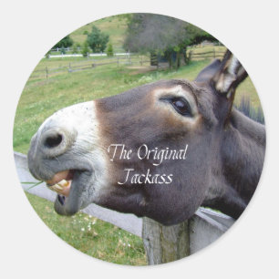 The Original Jackass Funny Donkey Mule Farm Animal Classic Round Sticker