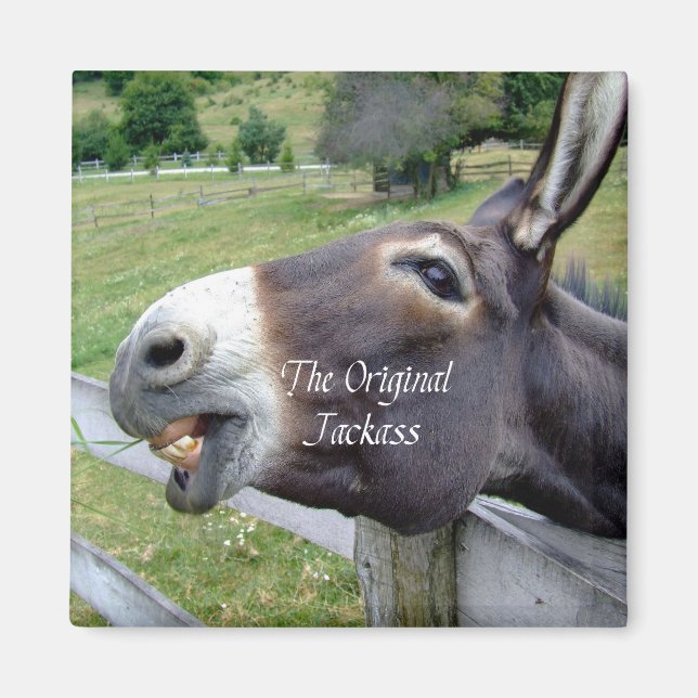 The Original Jackass Funny Donkey Mule Farm Animal Magnet (Front)