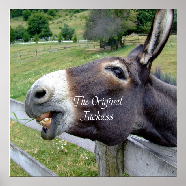 The Original Jackass Funny Donkey Mule Farm Animal Poster (Front)
