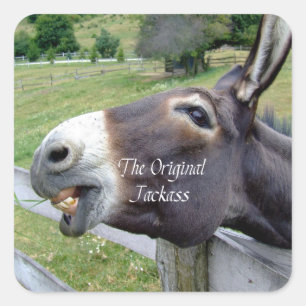The Original Jackass Funny Donkey Mule Farm Animal Square Sticker