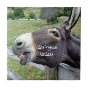 The Original Jackass Funny Donkey Mule Farm Animal Tile