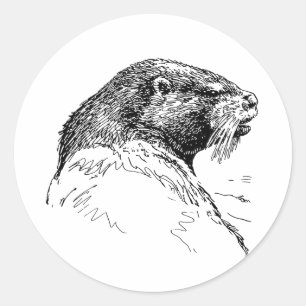 THE OTTER CLASSIC ROUND STICKER