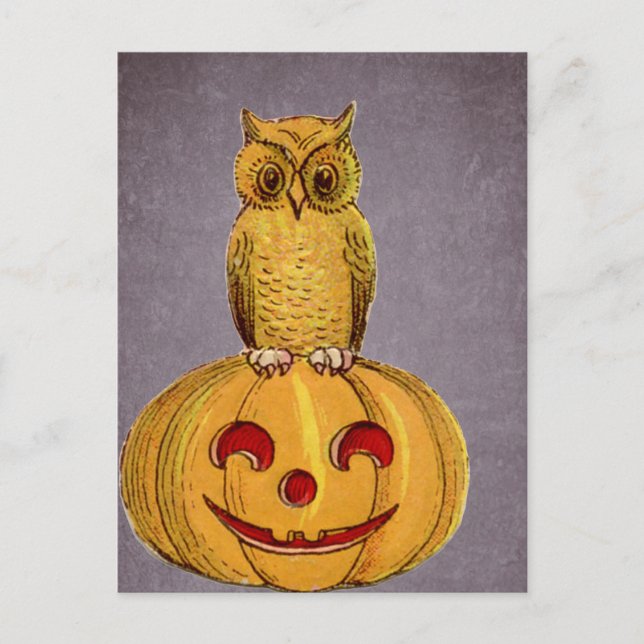The Owl and the Jack O Lantern Postcard (Front)
