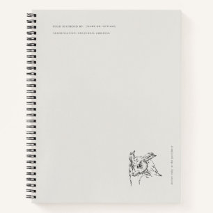The Owl- Naturalist Menagerie Archive Notebook