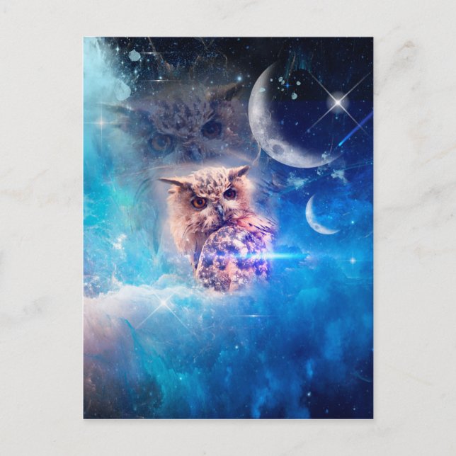 The owl postcard (Front)