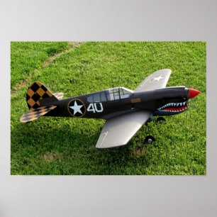 The P-40 Warbird Poster