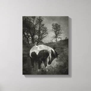 The Paint in Sepia Canvas Print