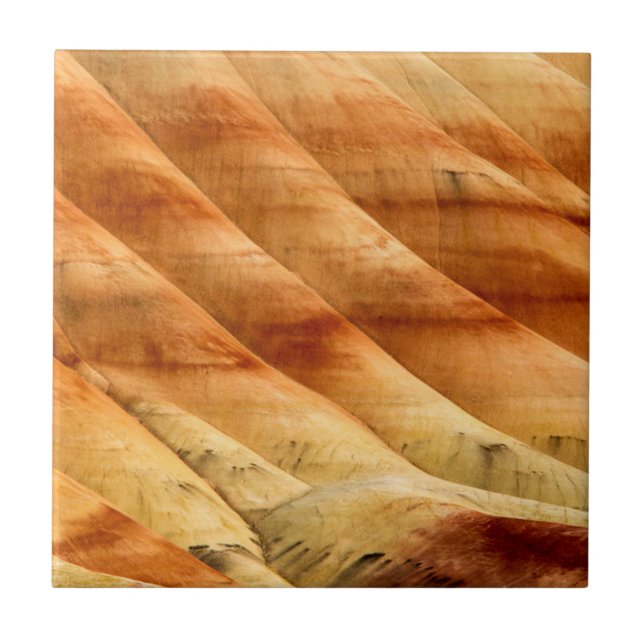 The Painted Hills In The John Day Fossil Beds 2 Tile (Front)