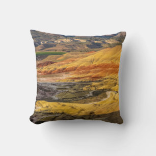 The Painted Hills In The John Day Fossil Beds 3 Cushion