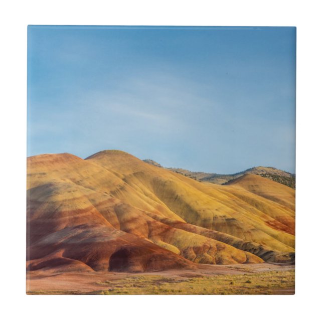 The Painted Hills In The John Day Fossil Beds Tile (Front)