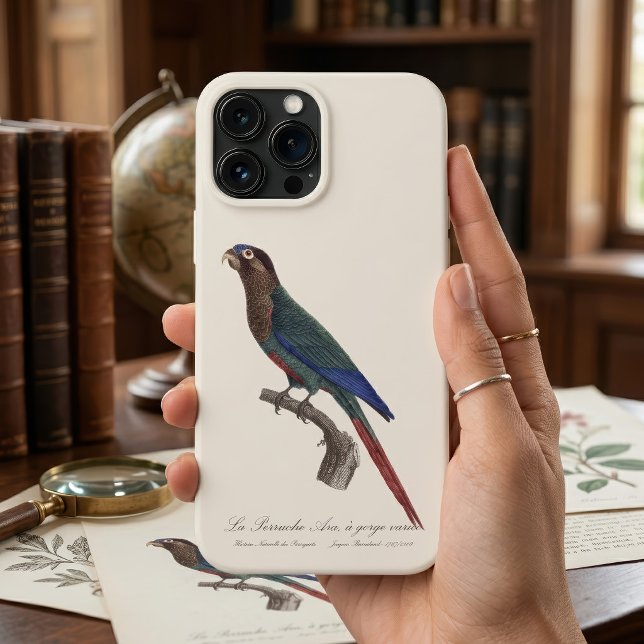 The Painted Parakeet, Pyrrhura Picta Case-Mate iPhone Case (The Painted Parakeet, Pyrrhura Picta. iPhone Case)