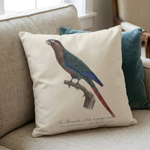 The Painted Parakeet, Pyrrhura Picta Cushion