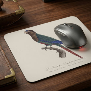 The Painted Parakeet, Pyrrhura Picta Mouse Mat