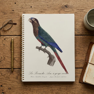 The Painted Parakeet, Pyrrhura Picta Planner
