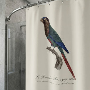 The Painted Parakeet, Pyrrhura Picta Shower Curtain