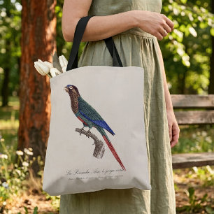 The Painted Parakeet, Pyrrhura Picta Tote Bag