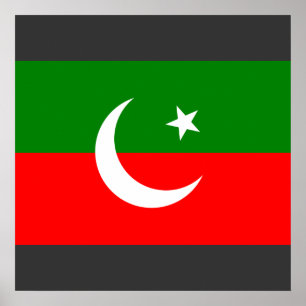 the Pakistan Tehreek e Insaf, Pakistan Poster