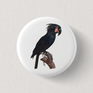 The Palm Cockatoo, Probosciger aterrimus Parrot 3 Cm Round Badge