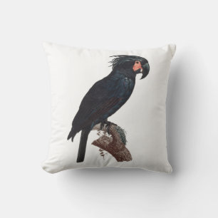The Palm Cockatoo, Probosciger aterrimus Parrot Cushion