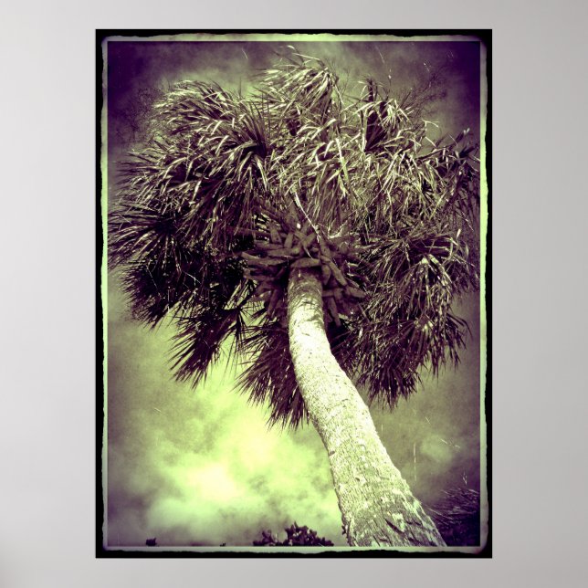 The Palm Poster (Front)