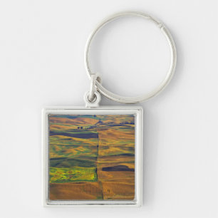 The Palouse from Steptoe Butte, Colfax, Key Ring