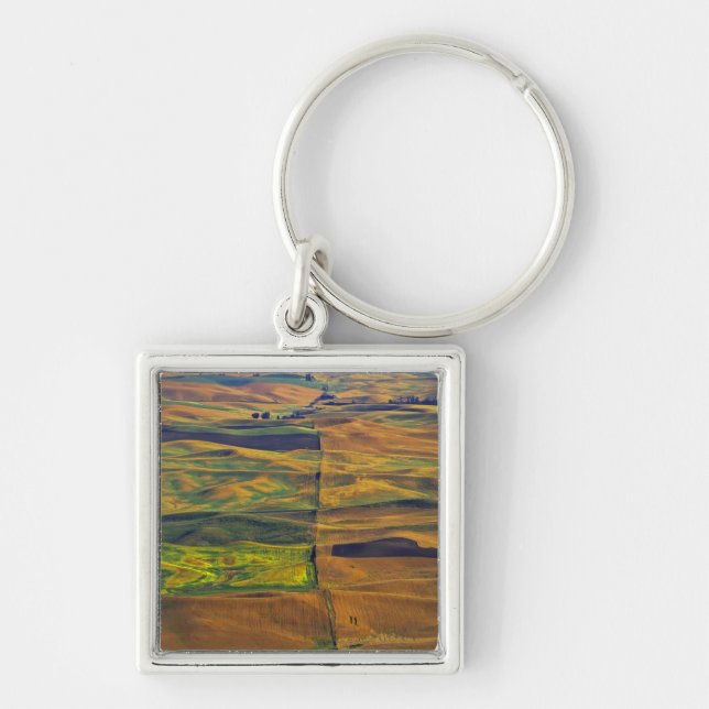 The Palouse from Steptoe Butte, Colfax, Key Ring (Front)
