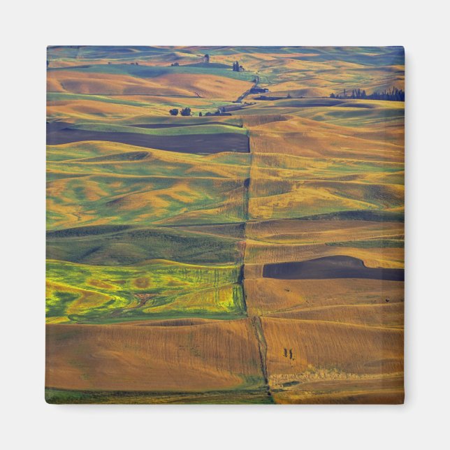 The Palouse from Steptoe Butte, Colfax, Magnet (Front)