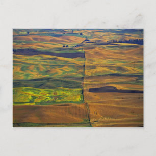 The Palouse from Steptoe Butte, Colfax, Postcard