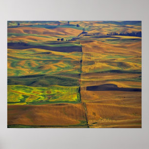 The Palouse from Steptoe Butte, Colfax, Poster