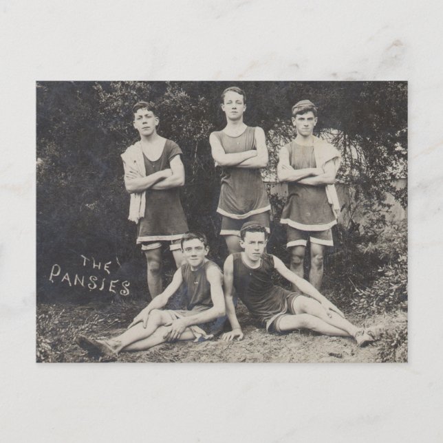 The Pansies swim team Postcard (Front)
