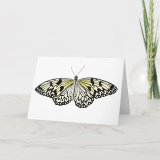 The Paper Kite Butterfly Card