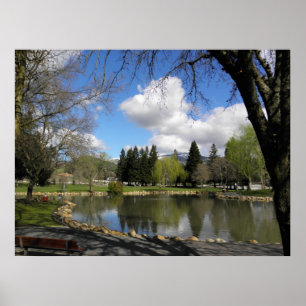 The Park after the Storm Poster