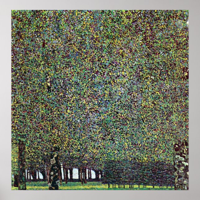 The Park by Gustav Klimt Poster (Front)