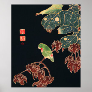 The Paroquet by Ito Jakuchu Japanese Bird Art Poster