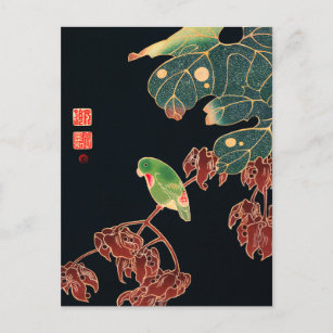 The Paroquet Colourful Bird Japanese illustration Postcard