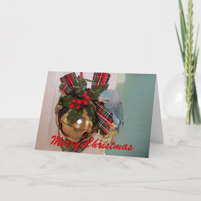 The Parrotlets Merry Christmas Greeting Card (Front)