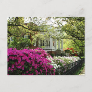 The Parsonage - Spring in Natchez, Mississippi Postcard