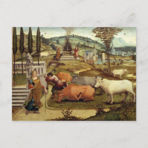 The Passions of Pasiphae, wife of King Minos of Cr Postcard