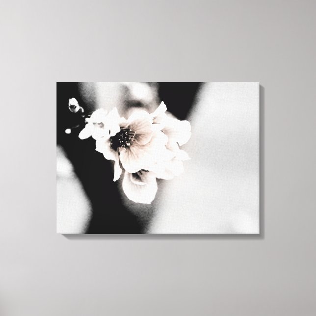 The Past Spring | Floral Photography Canvas Print (Front)