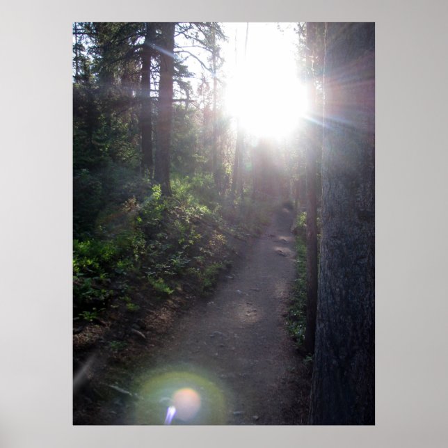 The Path Poster (Front)
